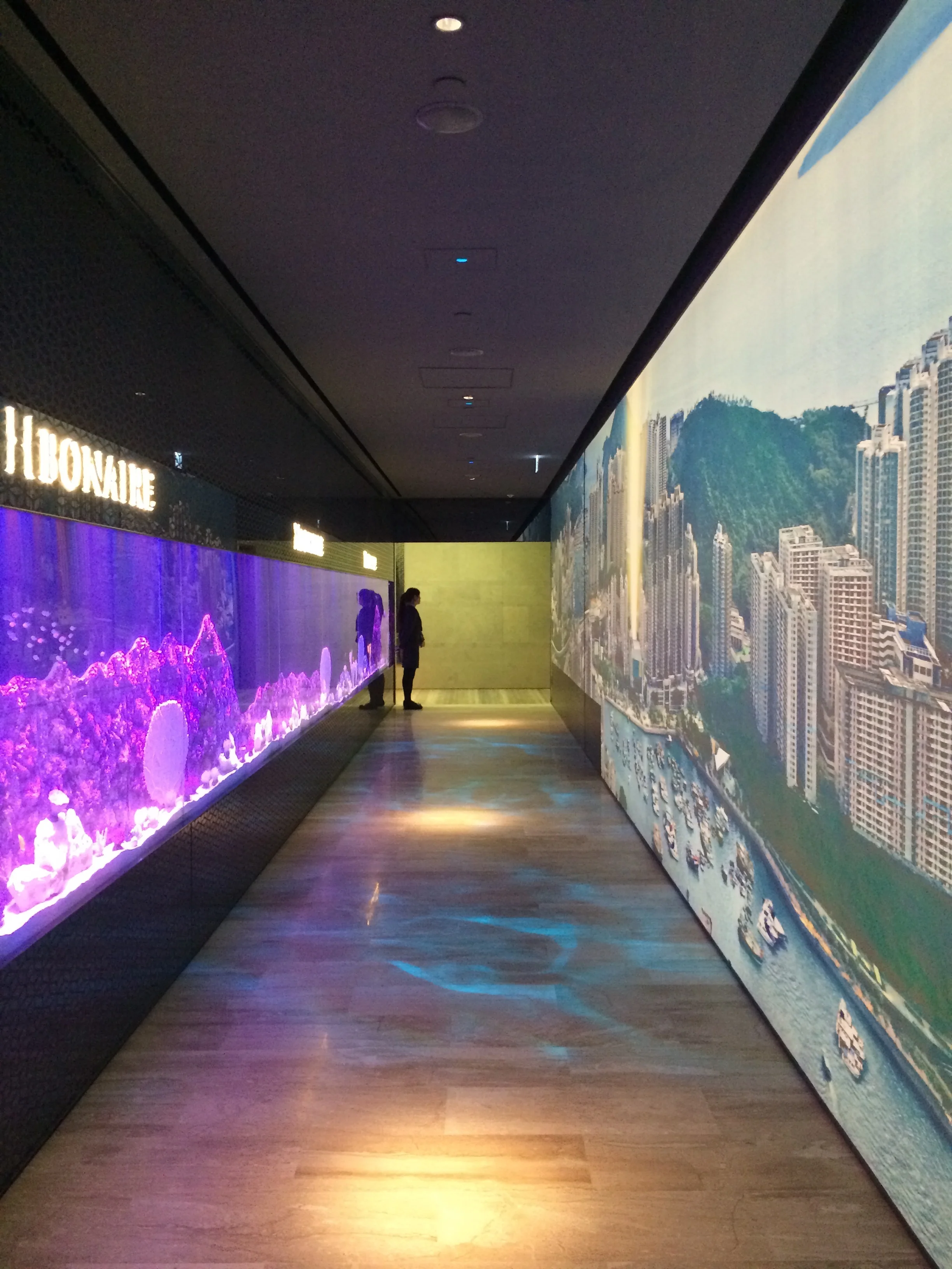 SHOW FLAT, SALES OFFICE, HENDERSON LAND @ IFC, HONG KONG