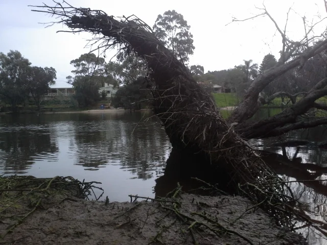 When the Need Strikes, Shelter in the Muddies
