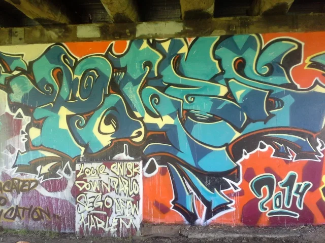 Suburban Social Sciences: Graffiti Artists