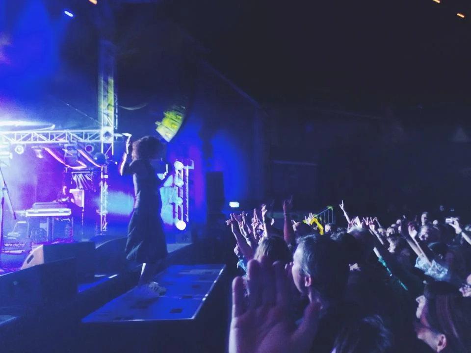 “Grandma's in the House: So Don't Fuck With Me”: Neneh Cherry & RocketNumberNine at the Festival Gardens, 1/3/2015