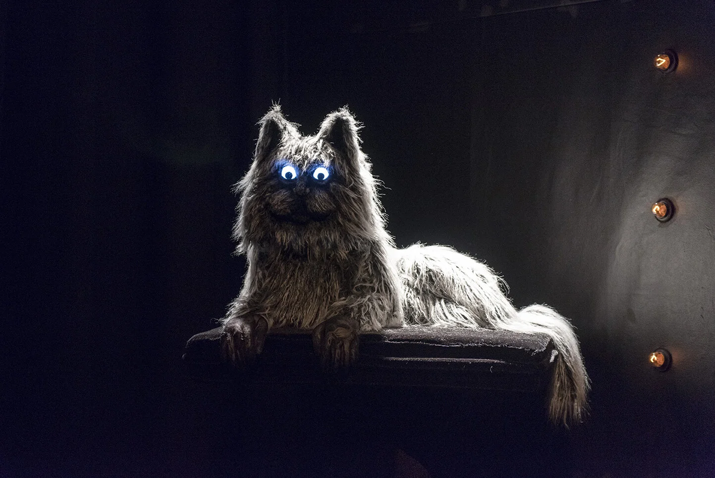Theatre: "Unheimlich" explores the cycle of relationships through the eyes of a house cat!