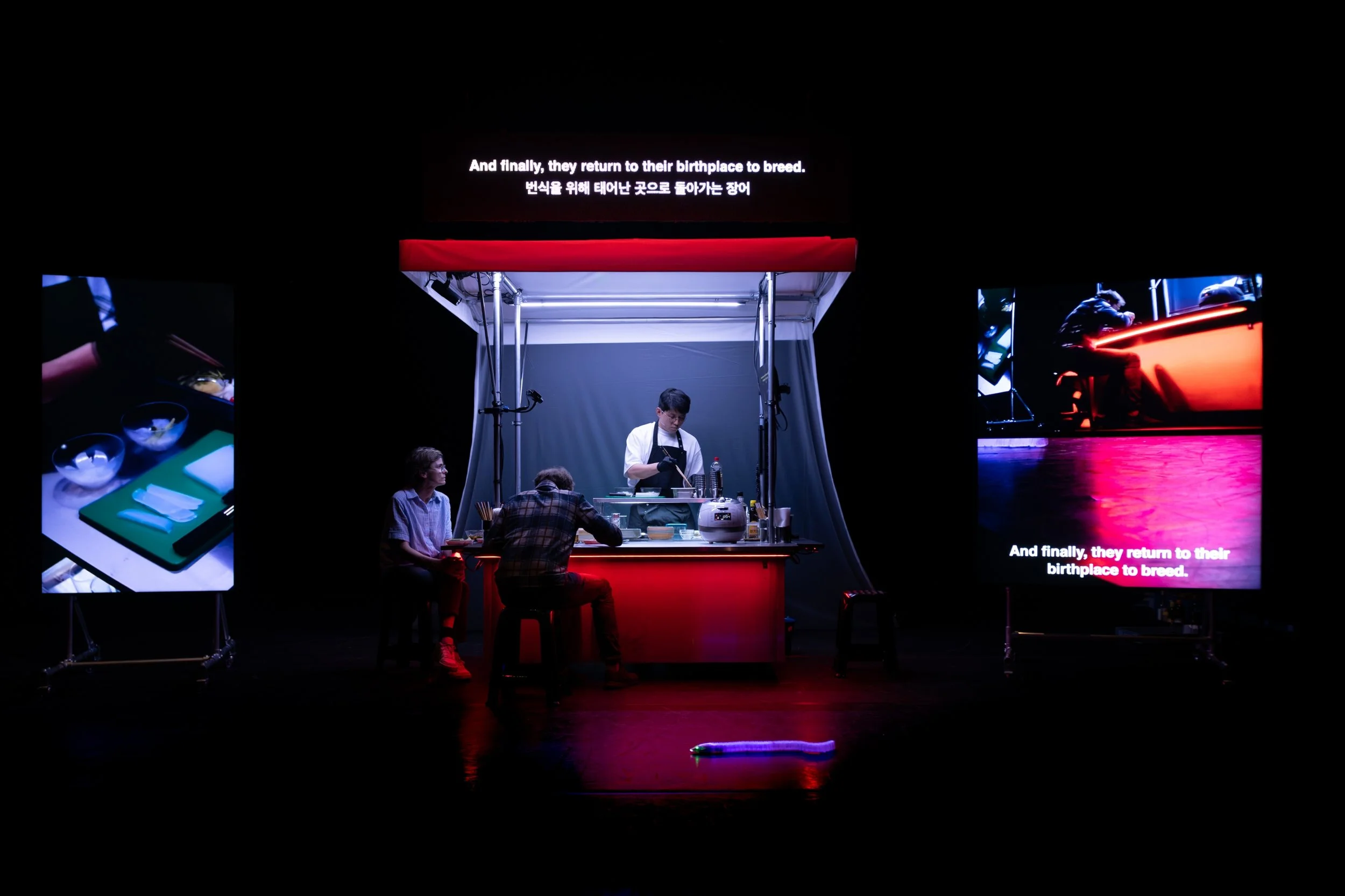 PERTH FESTIVAL REVIEW: "Haribo Kimchi" serves up a sensory and poignant exploration of migration, identity, and home