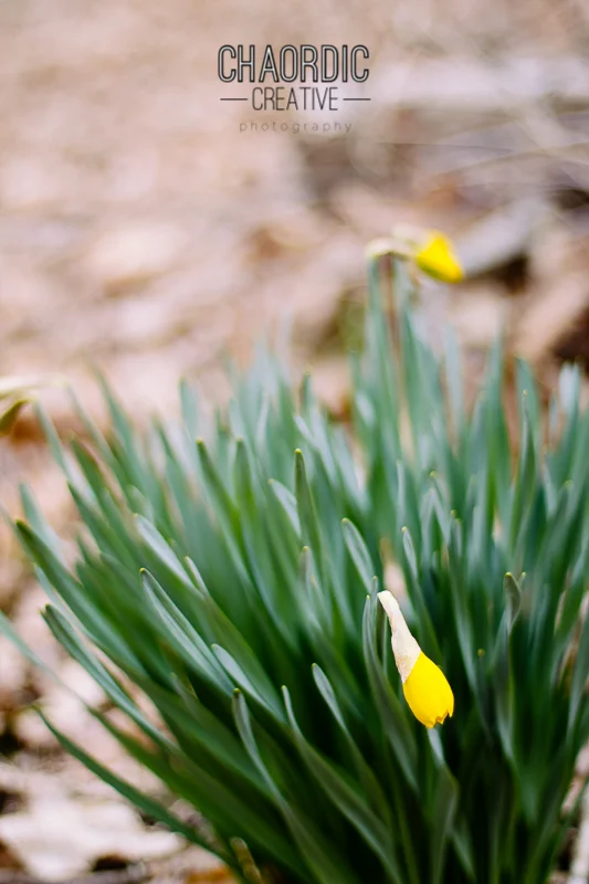10 IMG_7777.jpg