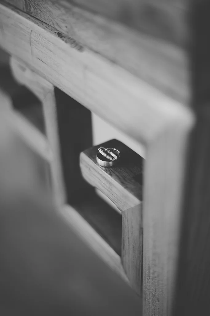 7a M98A6954.jpg