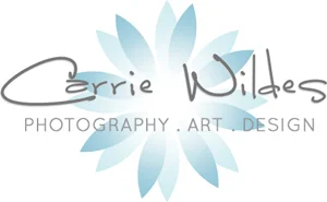 2013_logo_web_300px.jpg