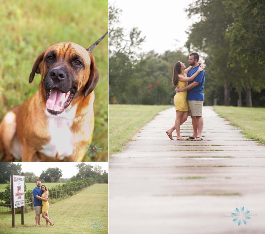 7_28_13 Tampa Engagement Session_0003.jpg