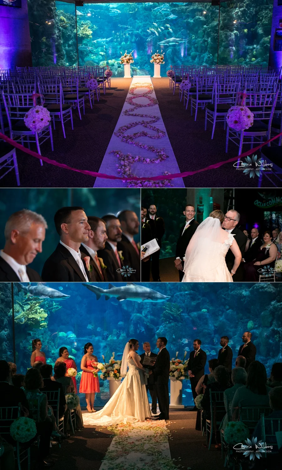 10_12_13 Florida Aquarium Wedding_0006.jpg
