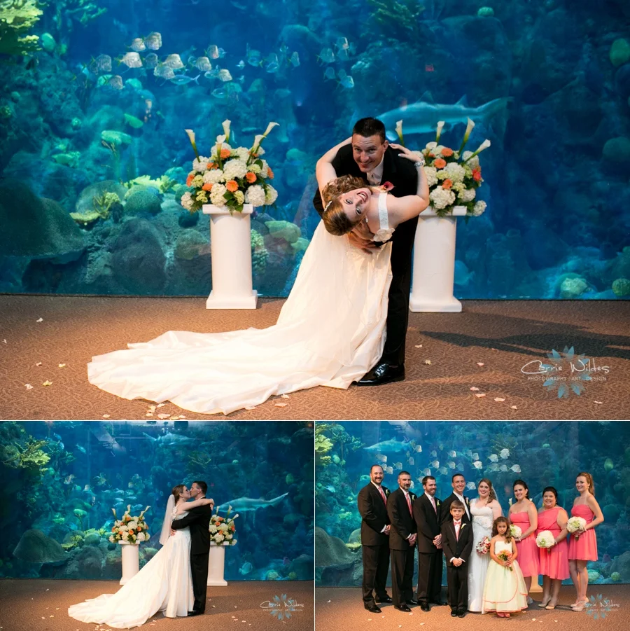 10_12_13 Florida Aquarium Wedding_0008.jpg
