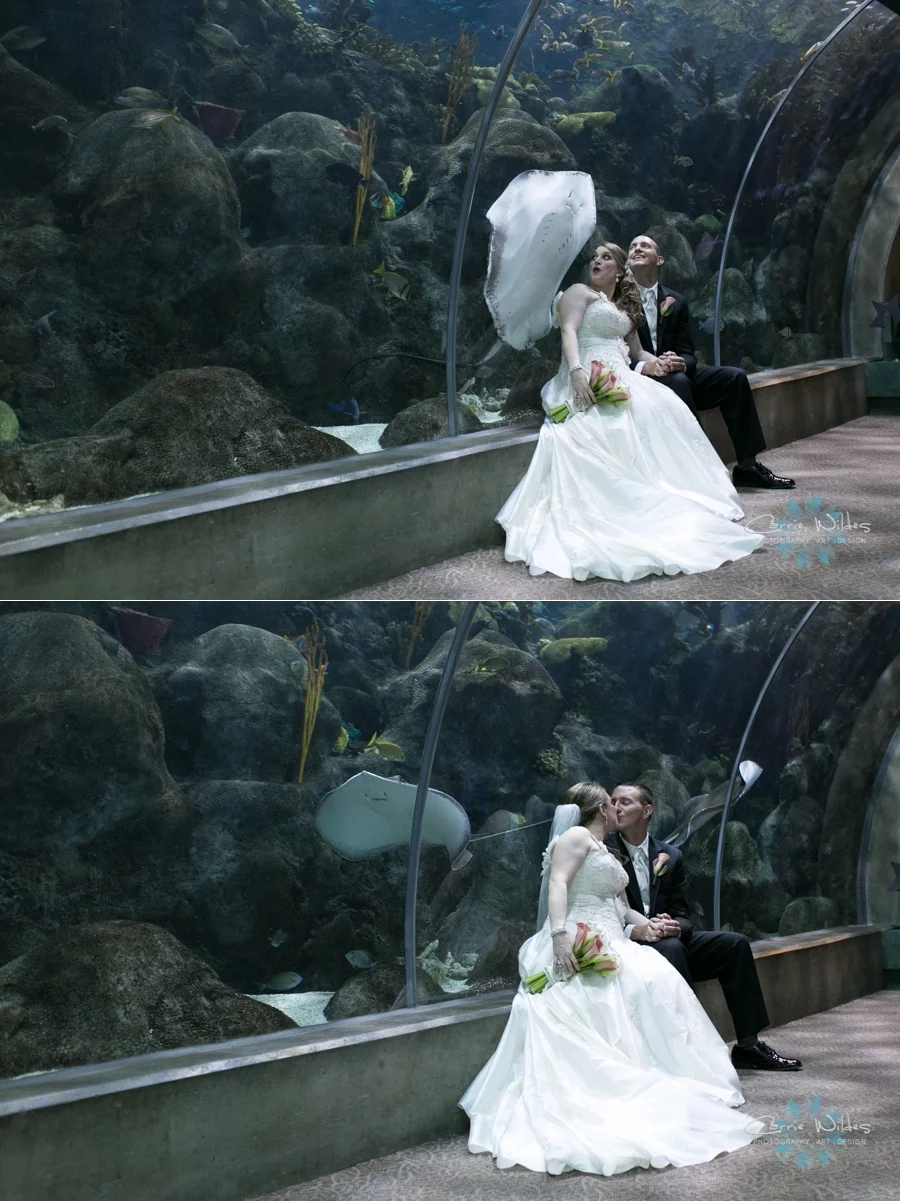 10_12_13 Florida Aquarium Wedding_0009.jpg