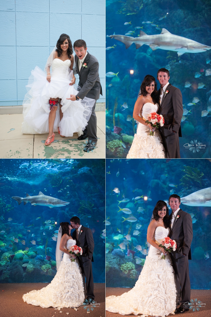 11_2_13 Florida Aquarium Wedding_0007.jpg