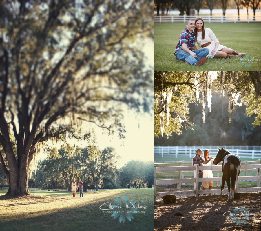 12_17_13 Lange Farm Engagement Session_0022.jpg