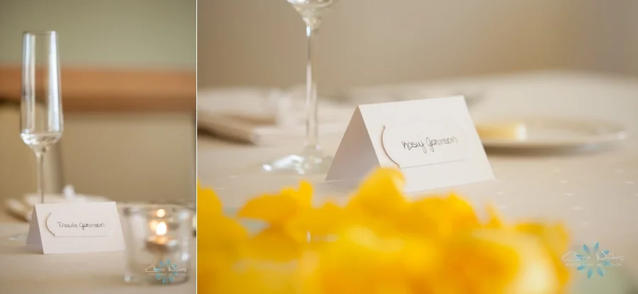 3_1_14_Hyatt Clearwater Beach Wedding_0011.jpg