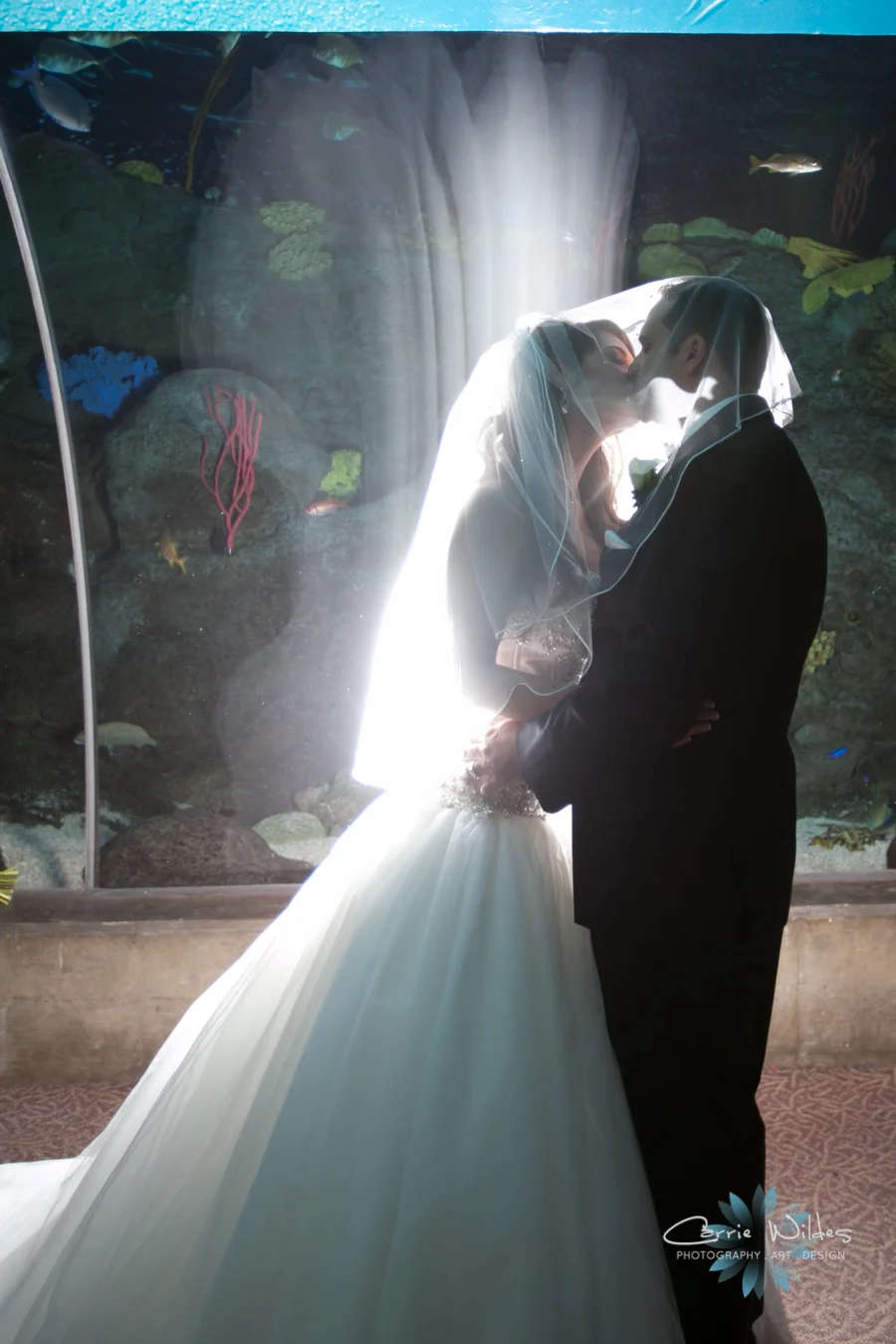 {Cailin & Jeremy @ The Florida Aquarium}