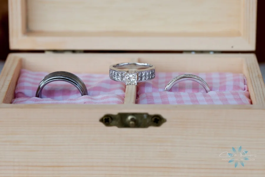 4_18_15 Wishing Well Barn Wedding_0012.jpg