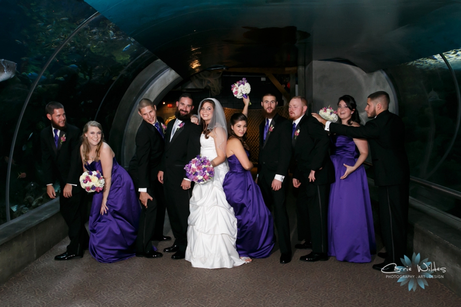 8_1_15 Florida Aquarium Wedding_0015.jpg
