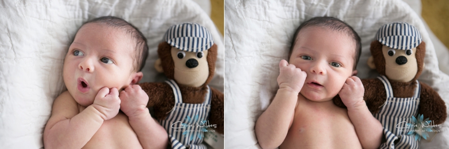 7_13_15 Tampa Bay Newborn Session_0006.jpg