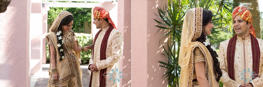 11_13_15 Indian Wedding Renaissance Vinoy_0011.jpg