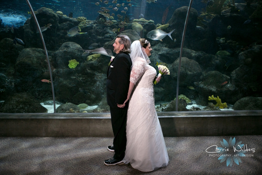 1_31_16 Florida Aquarium Wedding_0005.jpg