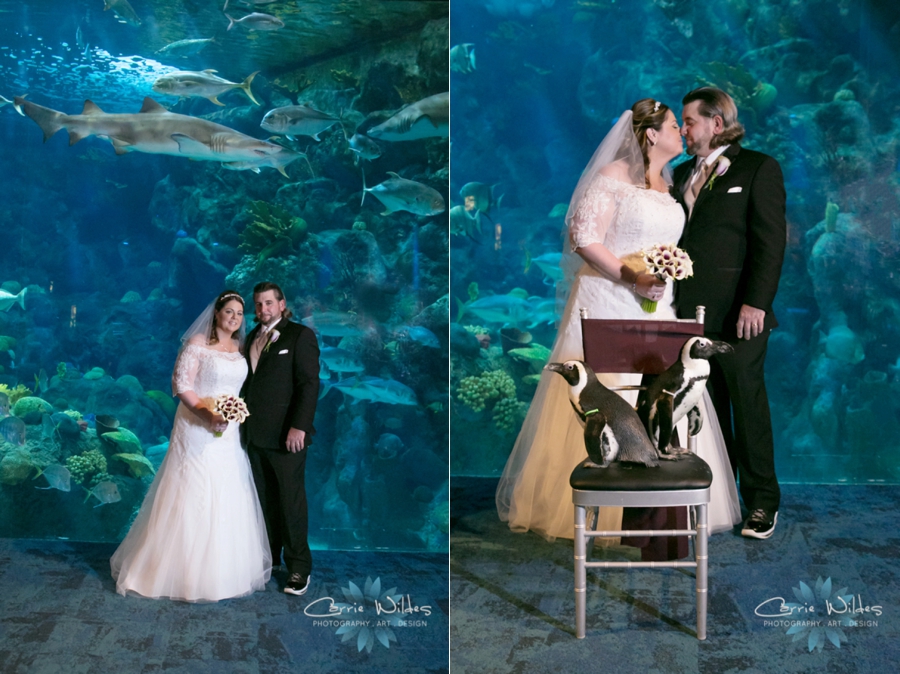 1_31_16 Florida Aquarium Wedding_0010.jpg