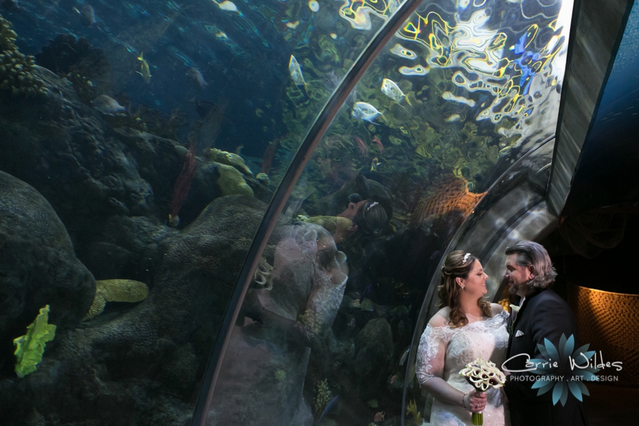 1_31_16 Florida Aquarium Wedding_0013.jpg