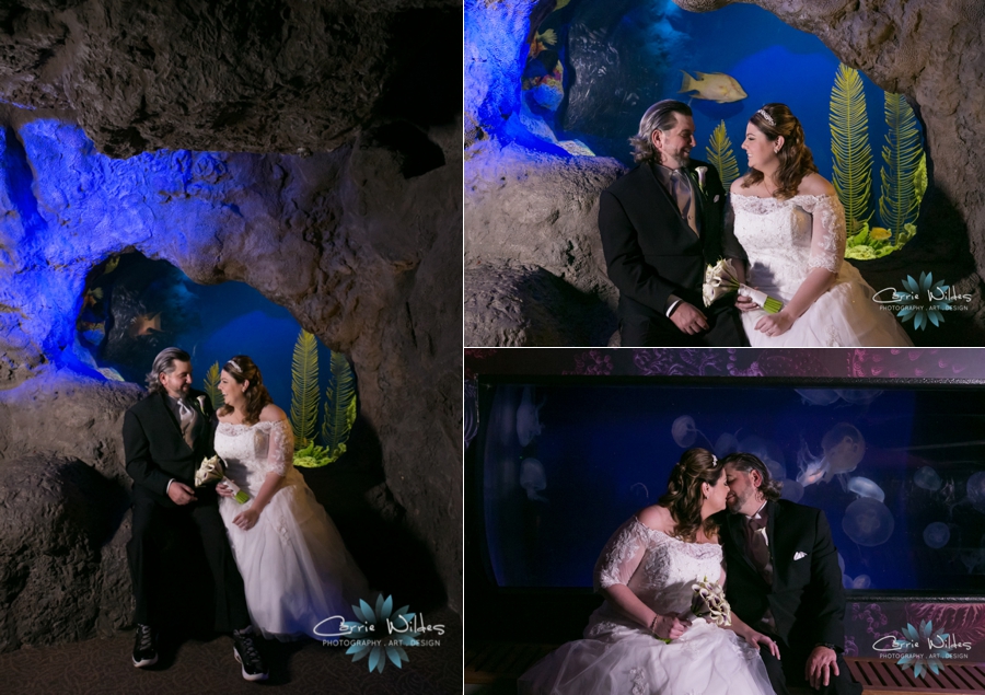 1_31_16 Florida Aquarium Wedding_0014.jpg