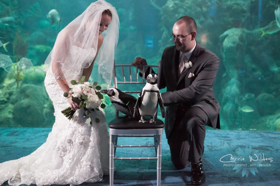 7_15_16 Florida Aquarium Wedding_0017.jpg