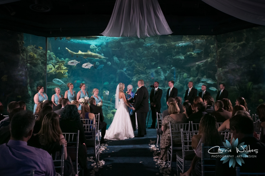 9_17_16 Alecia and Donald Florida Aquarium Wedding_0019.jpg