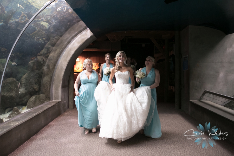 9_17_16 Alecia and Donald Florida Aquarium Wedding_0031.jpg