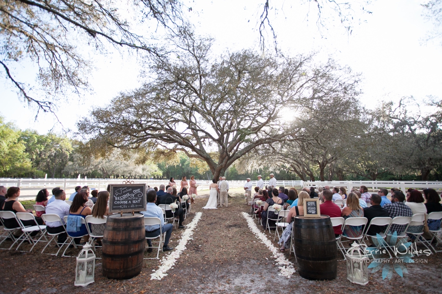 3_11_17 Denise and Bryan Lange Farm Wedding_0020.jpg