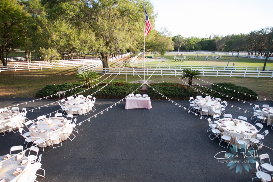 3_11_17 Denise and Bryan Lange Farm Wedding_0032.jpg