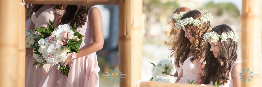 10_7_17 Emily and Kalub Sirata Beach Resort Wedding_0024.jpg
