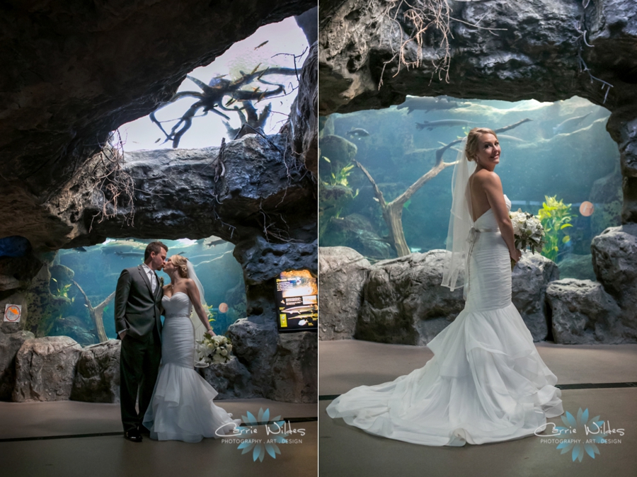 2_17_18 Kristin and Curtis Florida Aquarium Wedding_0027.jpg
