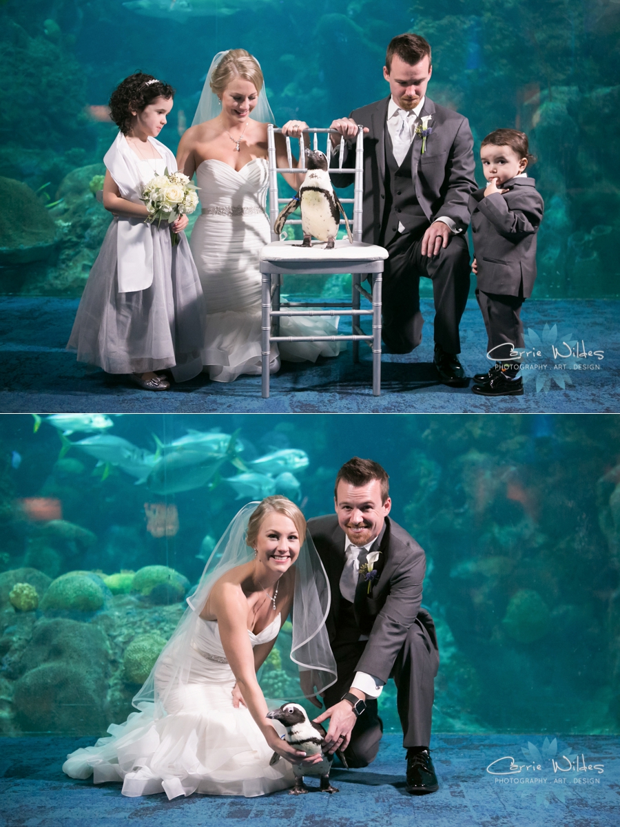 2_17_18 Kristin and Curtis Florida Aquarium Wedding_0041.jpg