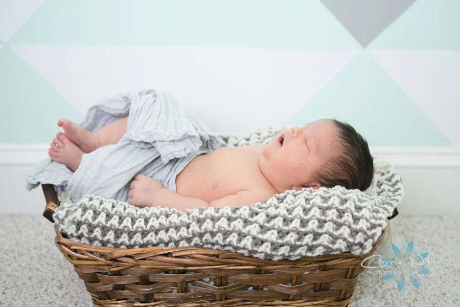 3_5_18 Maddox Newborn Session 004.jpg