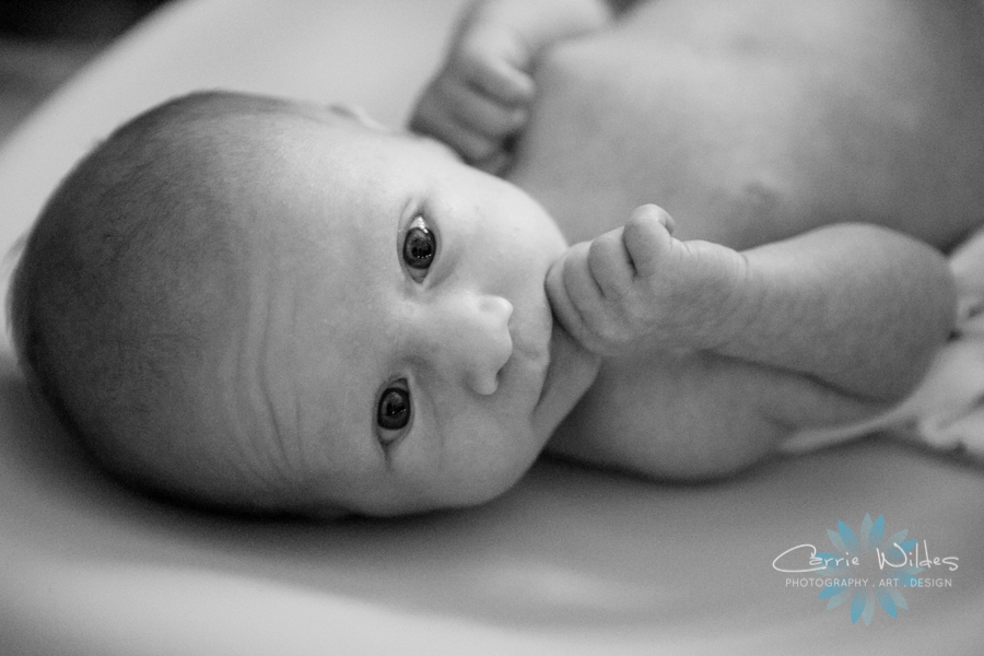 7_30_18 Landon Tampa Newborn Session_0013.jpg