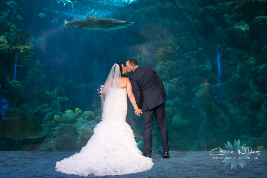 10_20_18 Donna and Drew The Florida Aquarium Wedding_0027.jpg