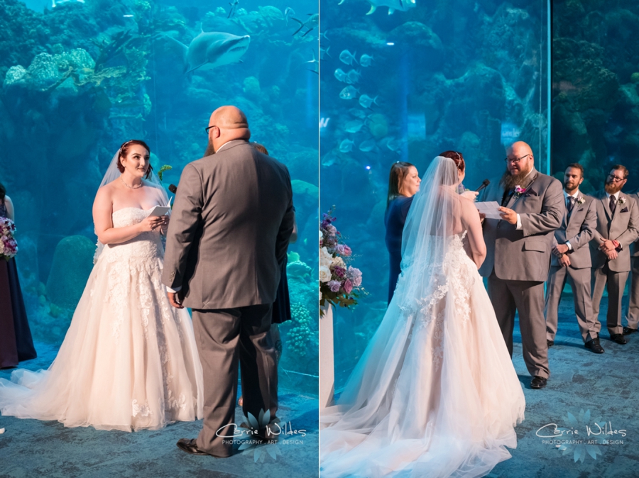 10_21_18 Emily and Bryan Florida Aquarium Wedding_0006.jpg