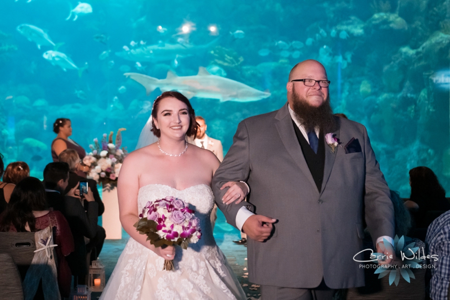 10_21_18 Emily and Bryan Florida Aquarium Wedding_0008.jpg