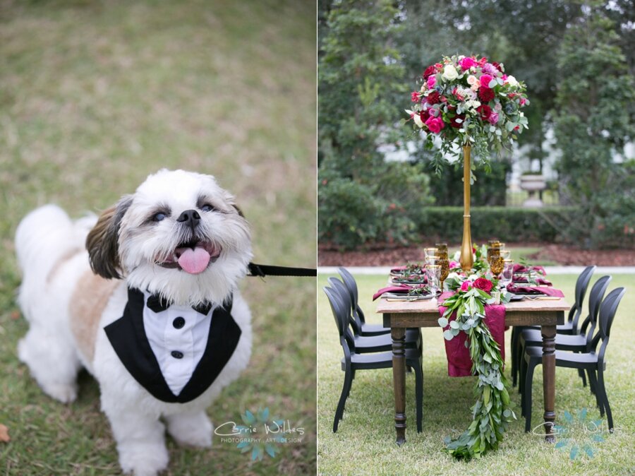 12_3_19 Bold and Dramatic Styled Shoot at The Palmetto Club 022.jpg