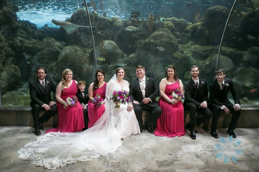11_23_19 Elizabeth and Jonathan Florida Aquarium Wedding 027.jpg