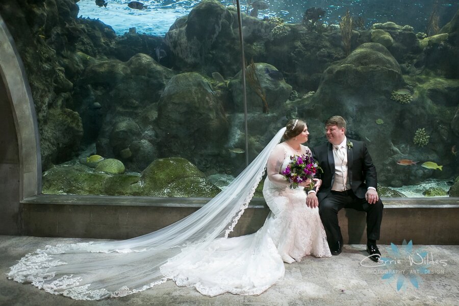 11_23_19 Elizabeth and Jonathan Florida Aquarium Wedding 028.jpg