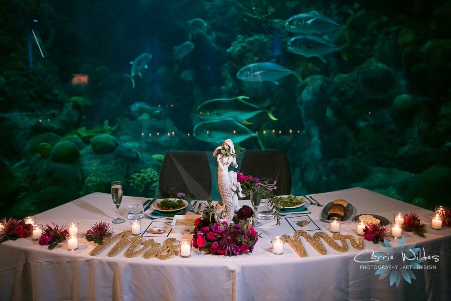 11_23_19 Elizabeth and Jonathan Florida Aquarium Wedding 052.jpg