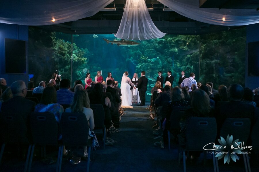 11_23_19 Elizabeth and Jonathan Florida Aquarium Wedding 055.jpg
