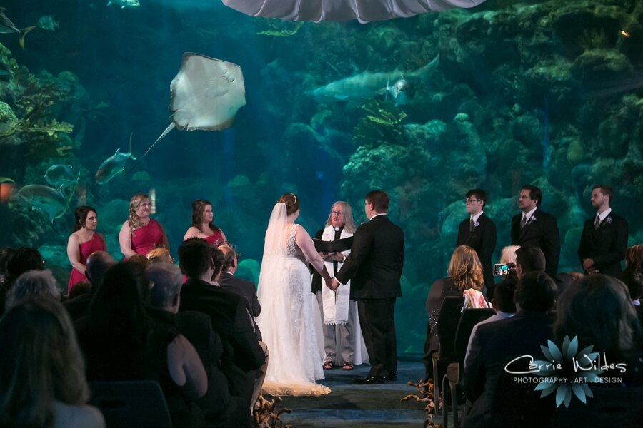 11_23_19 Elizabeth and Jonathan Florida Aquarium Wedding 056.jpg