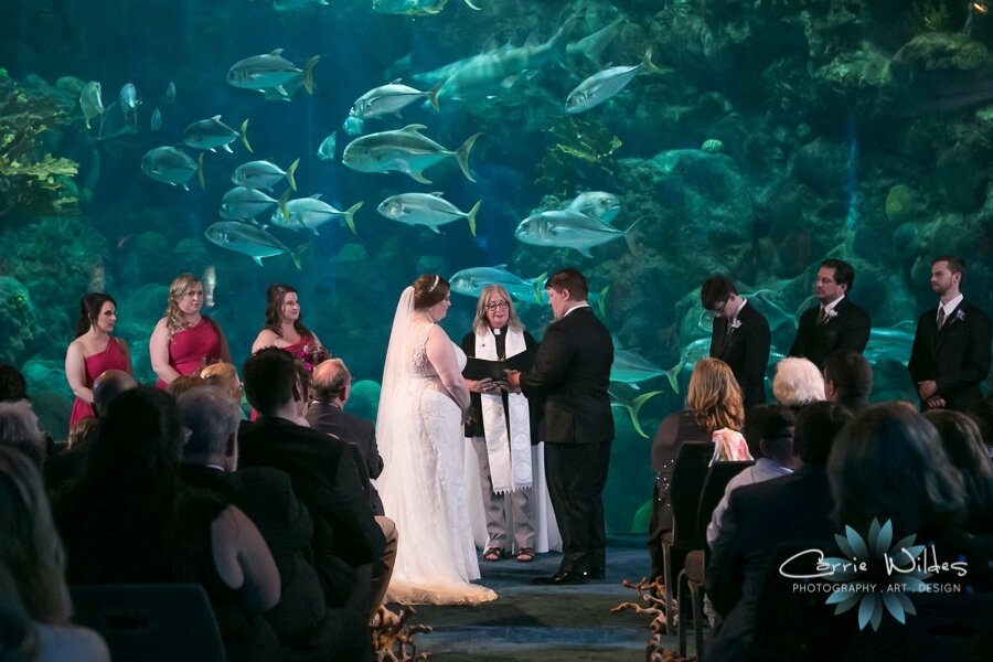 11_23_19 Elizabeth and Jonathan Florida Aquarium Wedding 057.jpg