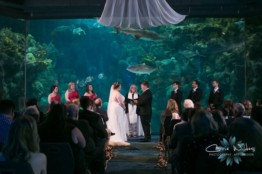 11_23_19 Elizabeth and Jonathan Florida Aquarium Wedding 058.jpg