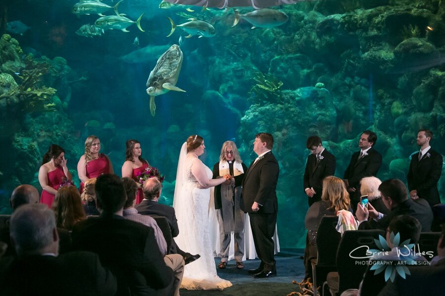 11_23_19 Elizabeth and Jonathan Florida Aquarium Wedding 064.jpg