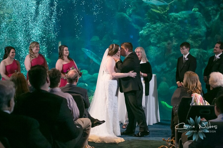 11_23_19 Elizabeth and Jonathan Florida Aquarium Wedding 065.jpg