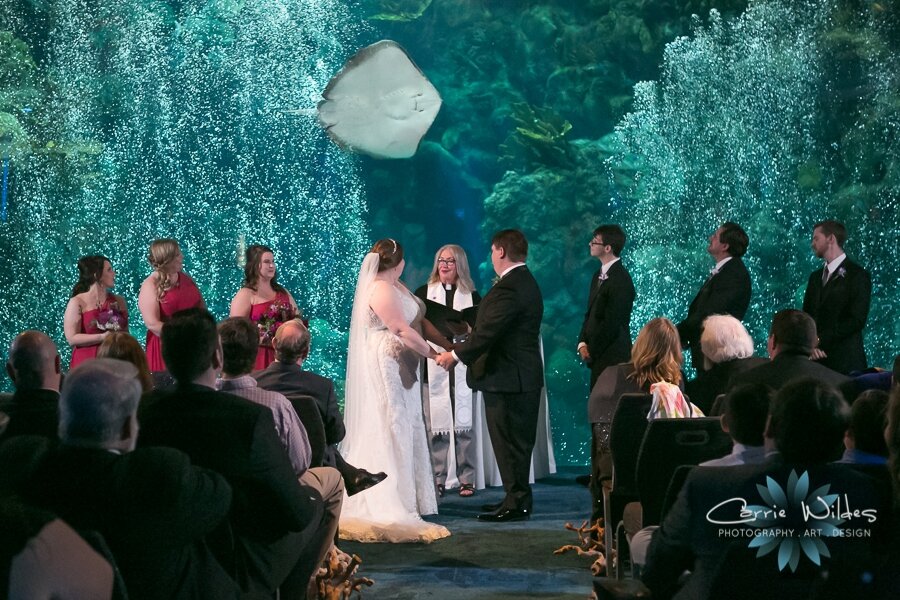 11_23_19 Elizabeth and Jonathan Florida Aquarium Wedding 066.jpg