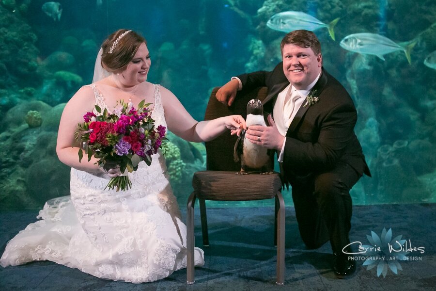 11_23_19 Elizabeth and Jonathan Florida Aquarium Wedding 067.jpg